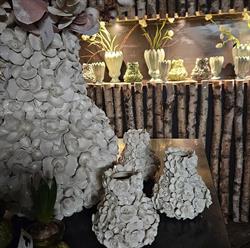 Olthuis Bloemkunst, Doetinchem openingstijden