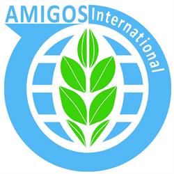 Amigos International Trade BV, Ede openingstijden