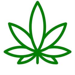 Dutch Hemp Store, Hilversum openingstijden