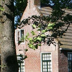 Gastenverblijf In De Wij, Ingwierrum openingstijden