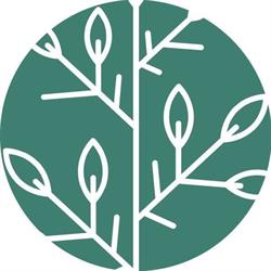 Balanced Beauty Cuijk, openingstijden