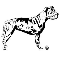 Powerdog Supplies, 's-Gravenhage openingstijden