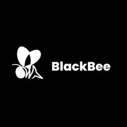 Black Bee Internetmarketing, Etten-Leur openingstijden