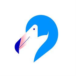 Blue Flamingos Online Marketing & Web Development, Zwolle openingstijden