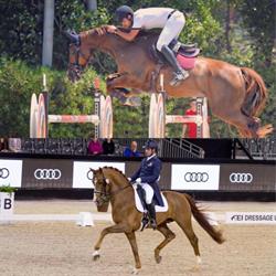 Laiz Sport Horses SL, Mierlo openingstijden