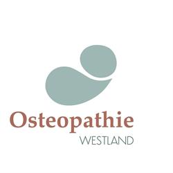 Osteopathie Westland, Ter Heijde openingstijden