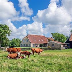 Vakantiehuis 't Logement Terschelling, Formerum openingstijden