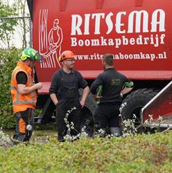 Ritsema boomkapbedrijf, Stitswerd openingstijden