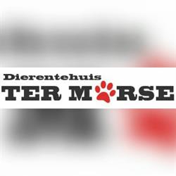Dierentehuis ter Marse, Stadskanaal openingstijden