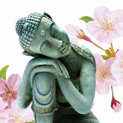 Maan 7 Yoga, Gemert openingstijden
