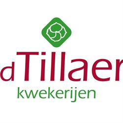 v.d. Tillaer Kwekerijen, Erp openingstijden