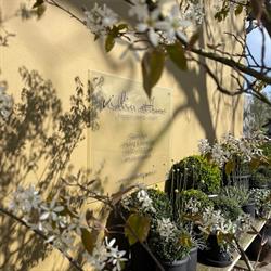 Violier at Home, IJzendoorn openingstijden