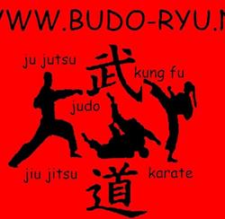 Budo-ryu.nl Arnhem-Noord Jiu-jitsu Karate Judo Jeugdjudo Japans Ju Jutsu Zelfverdediging openingstijden
