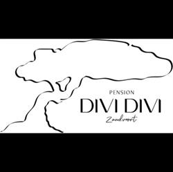 Dividivi, Zandvoort openingstijden