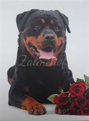 Rottweiler Kennel Zalmehof, Terhole openingstijden