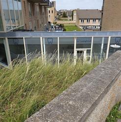 Tandartspraktijk Langhout, Zandvoort openingstijden