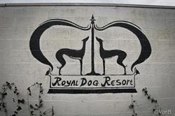 Royal Dog Resort, Geleen openingstijden