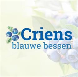 Criens Blauwe Bessen BV, Haelen openingstijden