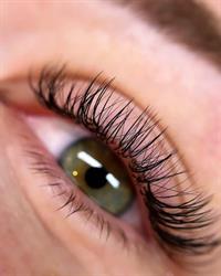 Lashes & Looks, Rotterdam openingstijden