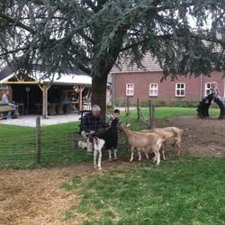 Hoeve Kukeleku, Gassel openingstijden