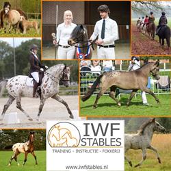 IWF Stables, Elspeet openingstijden