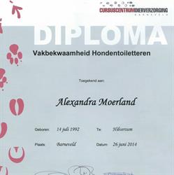 Alexandra’s hondentrimsalon, Zeist openingstijden