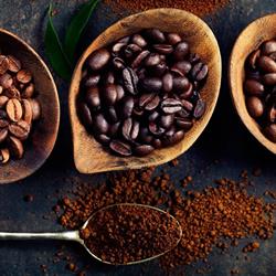 Private Label Coffee, Heiloo openingstijden