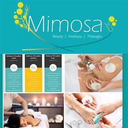 Mimosa, Arnhem openingstijden