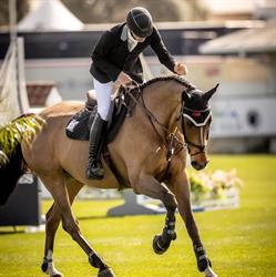 Sorensen Stables, Hoogeloon openingstijden