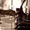 Tabitha speelt piano (pianoles studio), Zierikzee openingstijden