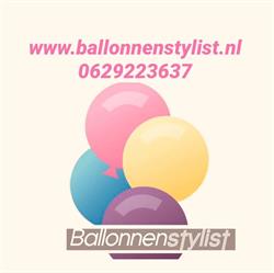 ballonnenstylist, Sint-Michielsgestel openingstijden