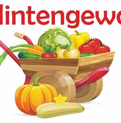Vlintengewas Valthe, openingstijden