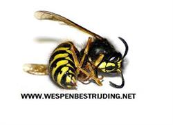 Wespenbestrijding, Winschoten openingstijden