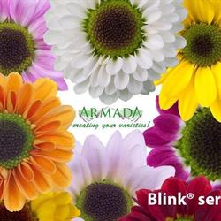 Armada Young Plants BV, Nieuwveen openingstijden