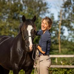 't Schier, Darp openingstijden