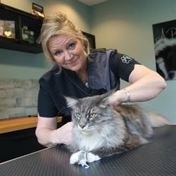 Kattentrimsalon Purr & Fur, Bosschenhoofd openingstijden