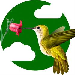 Creative Hummingbird, Arnhem openingstijden