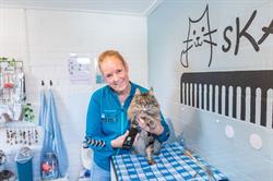 Kattentrimsalon sKATtig, Uitgeest openingstijden