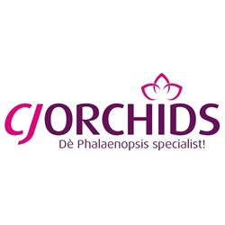 CJ Orchids, Gameren openingstijden