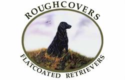 Roughcovers, Rockanje openingstijden