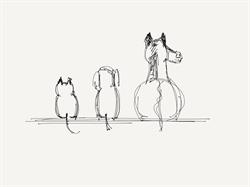 Equilibrio - praktijk voor veterinaire natuurgeneeskunde, Roosendaal openingstijden
