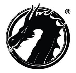 HwaRang Dragon Gym; Taekwondo, Brazilian JiuJitsu, Mudo, Haarlem openingstijden