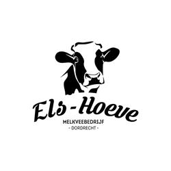 Els Hoeve Boer, Dordrecht openingstijden