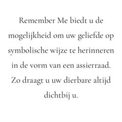 Remember Me Collection, Tilburg openingstijden