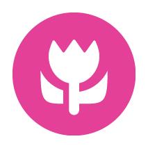 Hoofdkantoor Bedandbreakfast.eu B.V., Eindhoven openingstijden