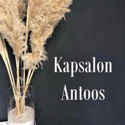 Kapsalon Antoos, Egmond-Binnen openingstijden