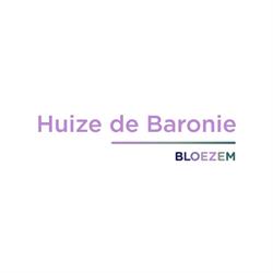 Huize De Baronie (Breda), openingstijden
