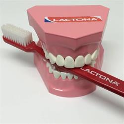Praktijk voor mondhygiëne S. Harmsen( mondhygienist), Huizen openingstijden