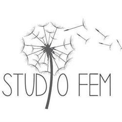 Studio FEM, Lemmer openingstijden