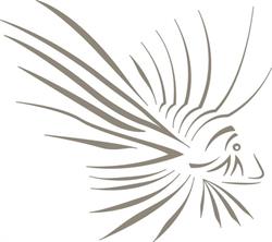 Pterois Interim & Consultancy, Rotterdam openingstijden